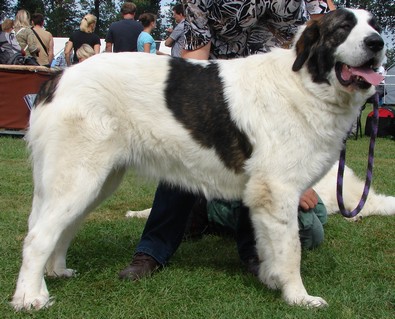 Beatrix From the Elbe Valley