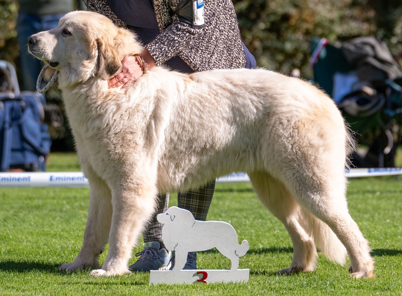 Bellatrix Patou de Vieux Chateau