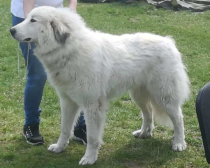 Douce Jolie from Pyrlandia