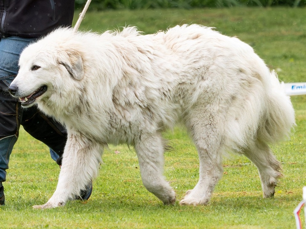 Mont la Meije Blatka
