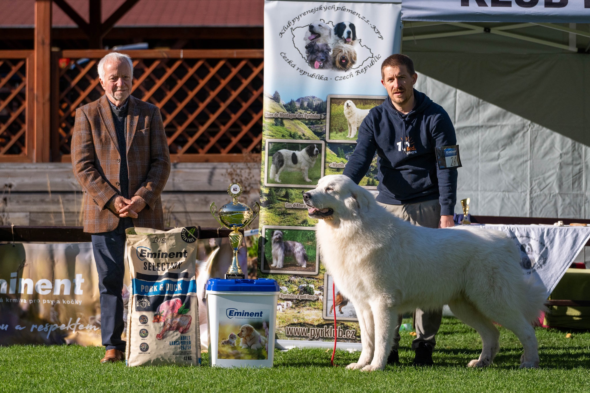 BIS klubové výstavy