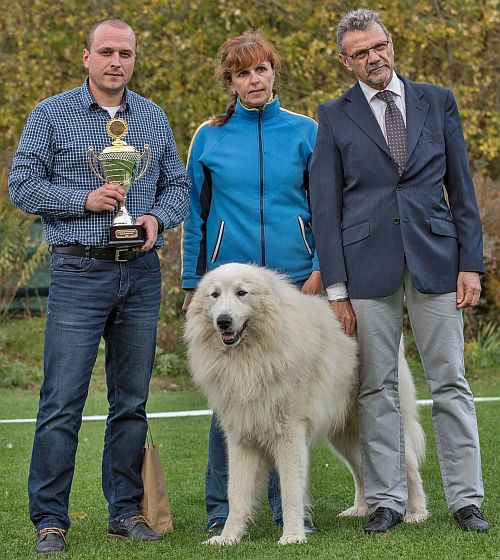 Klubová výstava Kadlcův Mlýn 2018