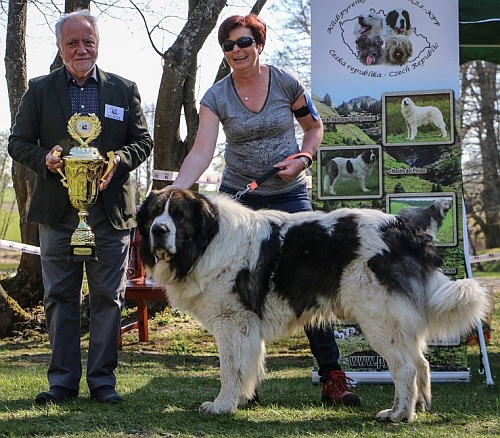 Klubová výstava Letohrádek sv. Vojtěch 2019