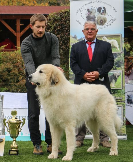 Club show Kadlcův Mlýn 2019